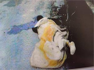 【鐵鎚奪命2-1】吃飯欠錢竟買車炫　遭催還錢怒殺債主