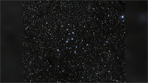 觀測M39星團奧秘　金門高中生獲旺宏科學獎金牌