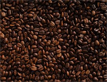 美式賣場急召回「這款咖啡豆」主因曝！恐產1毒素最慘下場會致癌