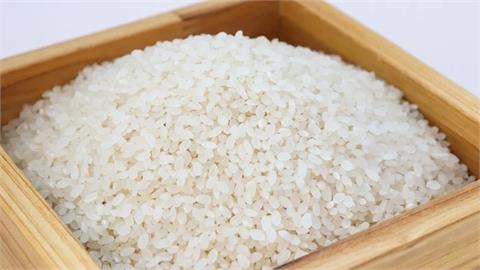 糙米、胚芽米、白米誰最營養？農糧署加碼曝混米「黃金比例」！