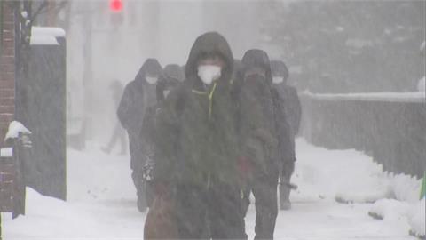 日本各地大雪持續 巴士站消失.樹叢結凍