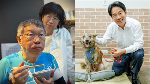 陳佩琪自嘲柯文哲「賤人賤狗」！吳靜怡嗆「別再消費毛小孩」：讓中間選民更疏離