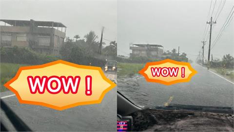宜蘭暴雨誰家的鴨子跑出來了！「鴨群霸路」畫面曝網笑翻：按喇叭沒反應