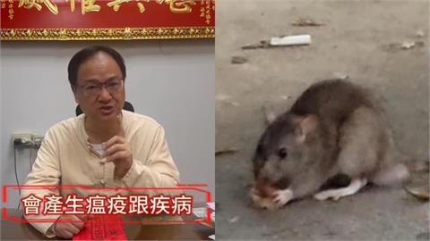 又1命理師「神預言」北市鼠患！3月就示警「慎防2事」今全成真嚇翻網