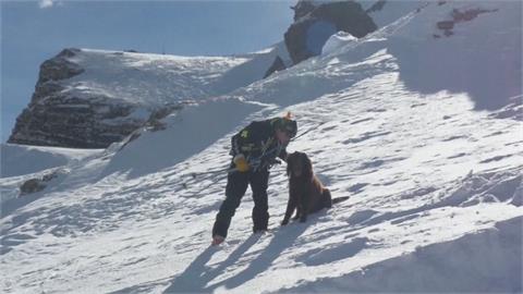 阿爾卑斯山上的「汪汪救援隊」　搜救犬培訓搶救受困民眾
