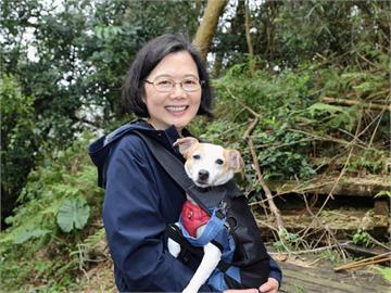 爬山魂被開啟！蔡英文挑戰「樟之細路」　笑喊：這次讓樂樂「懷疑狗生」