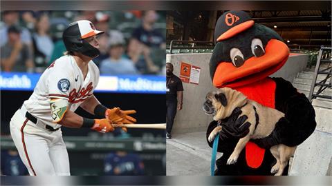 MLB(影)／一看到毛小孩就開轟！金鶯哈勒戴兩度「狗狗之夜」都打滿貫砲