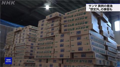 幸福煩惱！日本秋刀魚8月產量「暴增2倍」　冰塊、箱材大缺貨