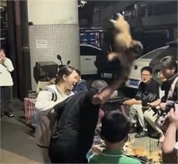 男子退貨不成「怒摔幼犬」致死　影片曝光網怒轟