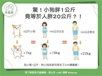 【狗狗健康】驚！小狗胖1公斤，竟等於人胖20公斤？！｜寵物愛很大