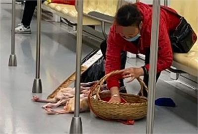 中國大媽地鐵車廂內「擺攤賣雞」超髒行徑600萬人傻眼：厲害了！