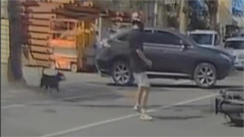地獄倒楣鬼? 騎士遭休旅車擦撞 倒地起身又被狗追