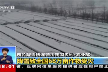 北暴雪南暴雨！中國農作物受損嚴重