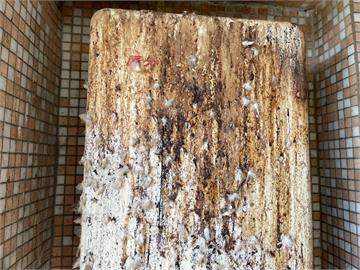 快新聞／離奇！鳥糞太多釀禍？　彰化住戶開熱水器「下秒竟燒起來...」