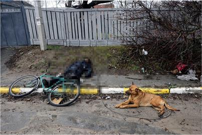 俄軍「布查大屠殺」！烏克蘭忠犬趴原地守護主人遺體...畫面令人鼻酸