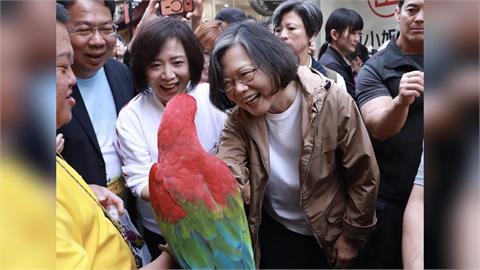 回起家厝被告白！蔡英文吃美食、摸鸚鵡　廟東商圈暴動了