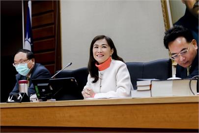 快新聞／預算黨團協商總檢討　林宜瑾批：權力無所節制、制度全面失控