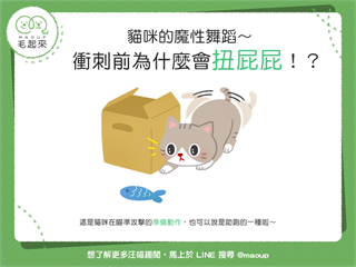 【喵喵行為學】貓咪的魔性舞蹈～衝刺前為什麼會扭屁屁？！