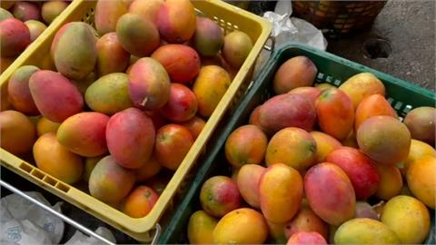 公銀挺芒果農 合力採購逾10公噸芒果 送食物銀行