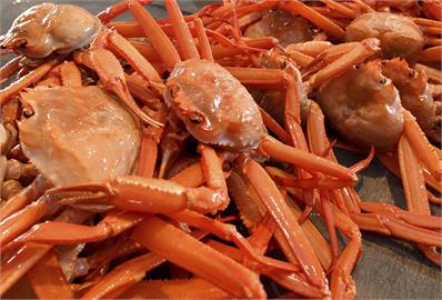 日本「紅楚蟹」產季到！　鳥取縣境港歡送10艘漁船出海