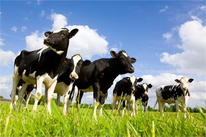 快新聞／終結混亂！農業部建議衛福部　保存期限15天內乳品才可稱「鮮奶」