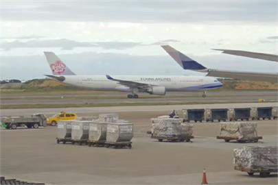 航空四雄齊寫紀錄　創史上最旺10月營收
