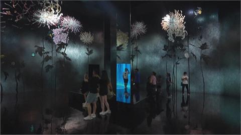 日本京都沉浸光影展開幕　沉浸式數位藝術打造夢幻空間