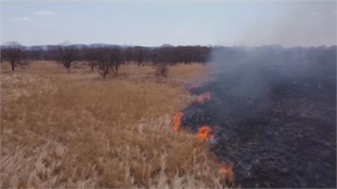 遠東濱海邊疆區森林野火 延燒近1千公頃