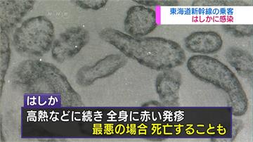 日本麻疹疫情持續擴散 關西地區患者人數飆3倍