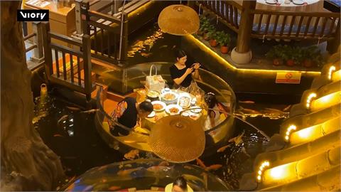 最受歡迎觀賞魚！　中餐廳推「錦鯉用餐區」