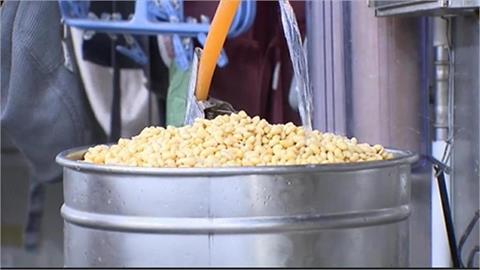 《豆》黃豆止穩震盪  長線仍受壓