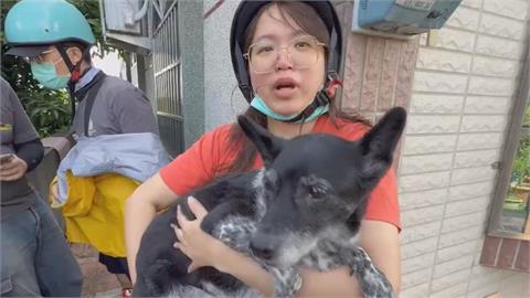 12歲米克斯「陳美琪」找到了　飼主擁愛犬喜極而泣
