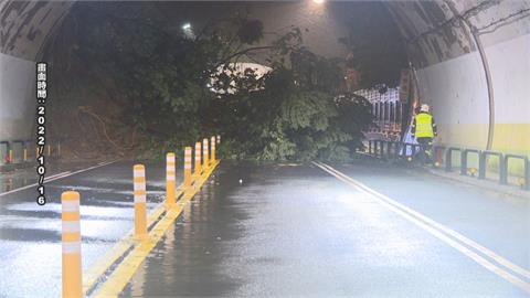 北市上週日大雨卻沒去現場勘災　副市長：只是倒1棵樹　難道急去現場扶樹？