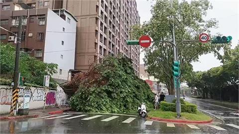 快新聞／凱米風強雨驟！8年首登陸颱風　北市災情「這項」最多