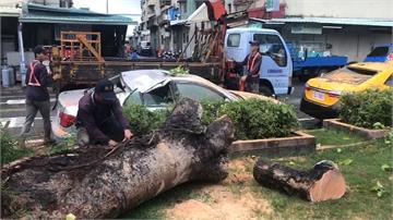 間歇雨不斷土石鬆軟 台南大樹倒壓毀車