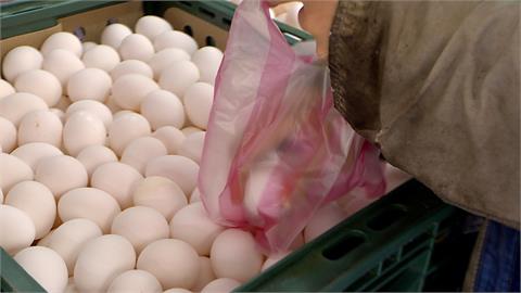 開學+颱風攪局雞蛋今再漲3元　凍漲2個月後零售價站上56元