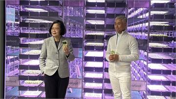 蔡英文將赴立陶宛第一學府演講　立國挺台議員：中國持續對台文攻武嚇「讓人無法接受」