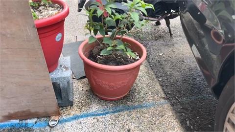 停車摩擦惹糾紛！嬤控花盆被撞倒　孫氣不過揪友砸鄰居車
