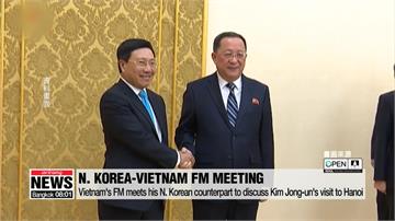 向美施壓？北朝鮮「美國通」外長遭撤換