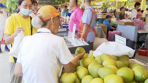 文旦受風災影響減產30%　柚農創意加工促銷催買氣