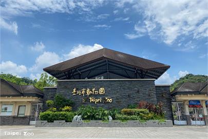 北市動物園笑翠鳥家族迎新成員　觀察育幼好時機