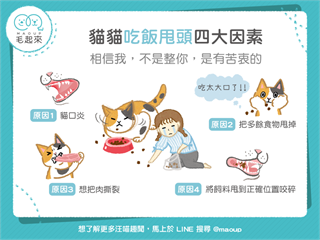 【汪喵餵養知識】不是整你喵～貓貓吃飯甩頭四大因素！