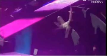 阿信演唱會跌落2米高舞台　親自發文「醫院檢查一切平安」