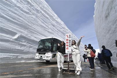 日本立山黑部路線開放了！　「巨大雪牆」吸引遊客朝聖