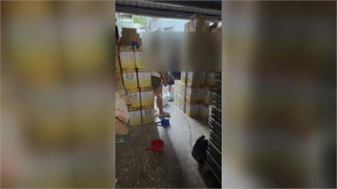獨／兄妹為「零售蛋」生意反目動手　買蛋婦無辜遭波及骨折