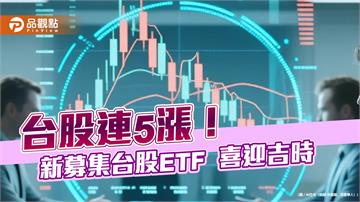 台股重返28200點！金融指數創新高　科技股每遇多頭年都勝大盤