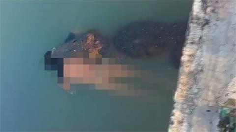 3.5米巨鱷獵殺玩命泳客！目擊民眾瘋傳「叼屍遊河過程」　兇手最新下場曝光