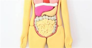 排便正常也罹癌！　50歲男首次照大腸鏡確診「大腸癌合併肝轉移」