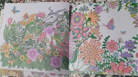 74歲嬤無聊在家連畫10本《秘密花園》　超絕配色網讚：再畫100本！