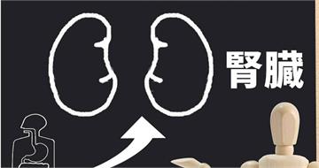 護腎超級食物假的？醫坦言：吃多對腎都有害　做到「這點」拿80分